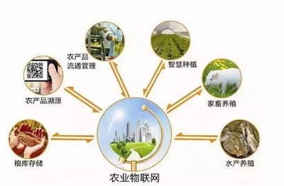 鄉村規劃設計丨中國農業十大戰略布局 風口、獨角獸與投資熱點深度解析